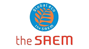 the SAEM